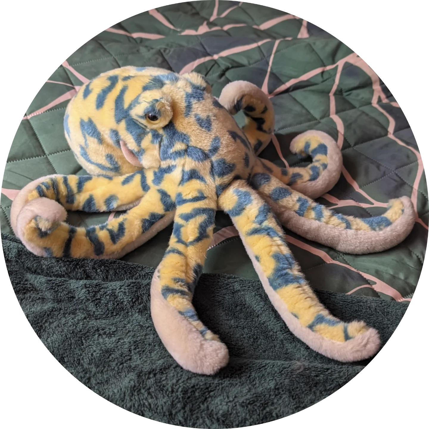 Asset
